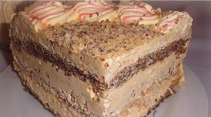 Torta Kamelija