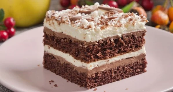 Savršena domaća biskvitna čokoladna kokos fantazija torta koja bazično osvaja trpezu